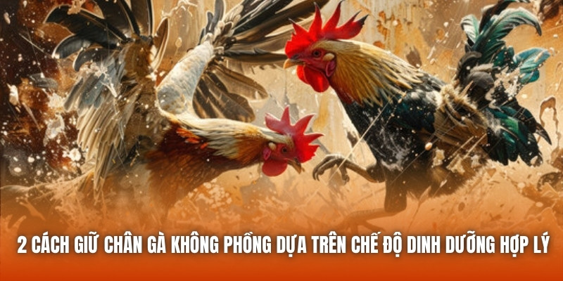 2 cách giữ chân gà không phồng dựa trên chế độ dinh dưỡng hợp lý