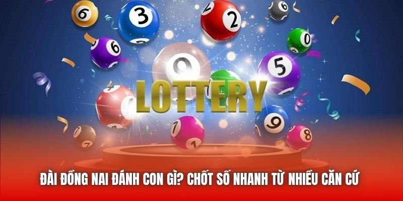 Đài Đồng Nai Đánh Con Gì? Chốt Số Nhanh Từ Nhiều Căn Cứ